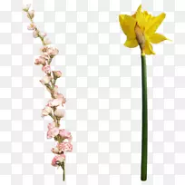 pngͼƬ¶êÀ¼»¨Çà²èÇл¨²©¿Í-»Û-¿ÕÈôÍø pngͼƬ¶êÀ¼»¨Çà²èÇл¨²©¿Í-»Û-¿ÕÈôÍø