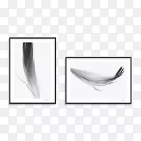 长方形羽毛产品设计.羽毛-空若网 长方形羽毛产品设计.羽毛-空若网