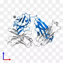 �廭��������Ʒ���-������