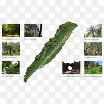 ´ºÂÌÒ¶-¿ÕÈôÍø ´ºÂÌÒ¶-¿ÕÈôÍø