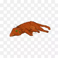 肉食动物,毛绒动物和可爱的玩具动物-天才艺术家-空若网 肉食动物,毛绒动物和可爱的玩具动物-天才艺术家-空若网