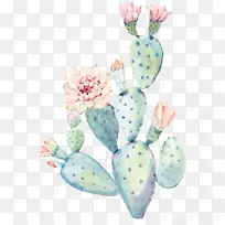 仙人掌水彩画仙人掌-空若网 仙人掌水彩画仙人掌-空若网