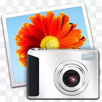 �Ӵ���Ƭ�����ͼ���Ӵ���Ӱ�������Ӵ���ҳ����΢���Ӵ���ҳ����ͼʾ-������