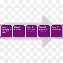 ��Ƥ���������ڷּ�������������ɢ-������