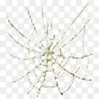 对称无脊椎动物线型点线-空若网 对称无脊椎动物线型点线-空若网