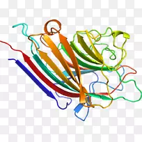 剪贴画线有机体点线-空若网 剪贴画线有机体点线-空若网