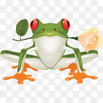 树蛙真蛙蟾蜍剪贴画-青蛙PNG-空若网 树蛙真蛙蟾蜍剪贴画-青蛙PNG-空若网