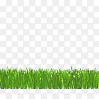 ��ƺ����ͼ�������ֽ���������PNG��-������