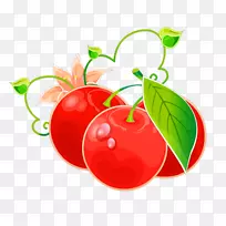 番茄巴巴多斯樱桃剪贴画水果-番茄-空若网 番茄巴巴多斯樱桃剪贴画水果-番茄-空若网