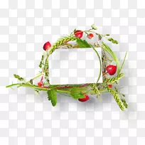 ���뻨���-������