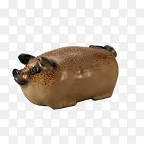 猪鼻-猪-空若网 猪鼻-猪-空若网