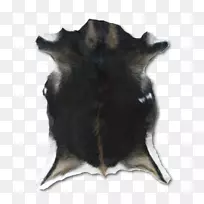 ��ëɽ��ë-������