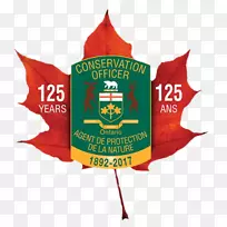 pngͼƬͼ��adobe PhotoshopҶjpeg��Ȼ����-������