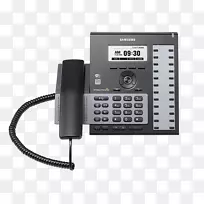 VoIP�绰ҵ��绰ϵͳ-������