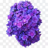 法国绣球花紫玫瑰紫罗兰紫花图标下载-空若网 法国绣球花紫玫瑰紫罗兰紫花图标下载-空若网