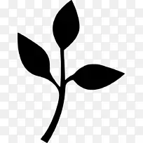 生物科学叶植物学剪贴画-科学-空若网 生物科学叶植物学剪贴画-科学-空若网