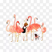 火烈鸟插图水彩画图像-火烈鸟-空若网 火烈鸟插图水彩画图像-火烈鸟-空若网