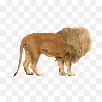 LEANpng图片图像摄影渲染.LEAN-空若网 LEANpng图片图像摄影渲染.LEAN-空若网