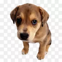 ���տ��ֺؿ�ף���տ���-������