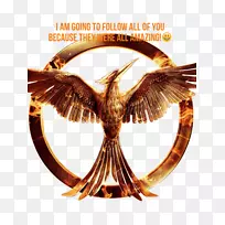 着火卡特尼斯埃弗丁饥饿游戏电影海报画埃及符号甲虫-空若网 着火卡特尼斯埃弗丁饥饿游戏电影海报画埃及符号甲虫-空若网