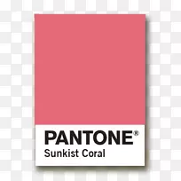 Pantone宇宙iphone?5 Case-RueLaLa案例场景Pantone宇宙运动覆盖iphone 5/5s运动衫黄色案例pa-iph5品牌-空若网 Pantone宇宙iphone?5 Case-RueLaLa案例场景Pantone宇宙运动覆盖iphone 5/5s运动衫黄色案例pa-iph5品牌-空若网