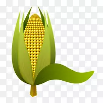 剪贴画玉米图像png图片adobe Photoshop-куруза-空若网 剪贴画玉米图像png图片adobe Photoshop-куруза-空若网