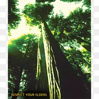 保险杠贴纸自然环境标志概念-环境性质-空若网 保险杠贴纸自然环境标志概念-环境性质-空若网