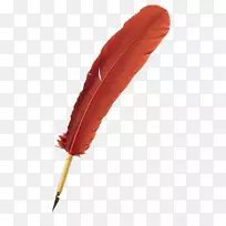 剪贴画羽毛图像边框png图片.羽毛-空若网 剪贴画羽毛图像边框png图片.羽毛-空若网