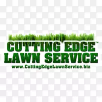 ��ݱ�־��ƺ��ɫ����-רҵ����-������