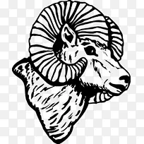 ���������򿨳���ͼ-����-������