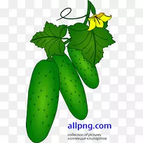 剪贴画叶水果植物茎开花植物-叶-空若网 剪贴画叶水果植物茎开花植物-叶-空若网