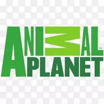 标志动物星球高清电视频道-动物星球-空若网 标志动物星球高清电视频道-动物星球-空若网