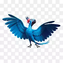 液晶电视剪辑艺术里约高清电视-布鲁里奥-空若网 液晶电视剪辑艺术里约高清电视-布鲁里奥-空若网