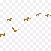 动物性动物字体天空plc-madaraka日-空若网 动物性动物字体天空plc-madaraka日-空若网