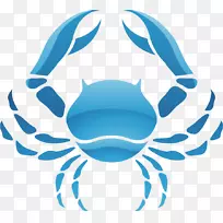 癌症占星学星座黄道占星术癌征占星术-空若网 癌症占星学星座黄道占星术癌征占星术-空若网