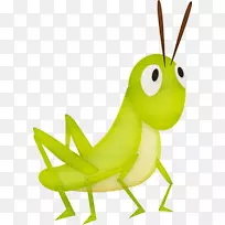 剪贴画露天蚱蜢昆虫图像-蚱蜢-空若网 剪贴画露天蚱蜢昆虫图像-蚱蜢-空若网