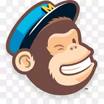 MailChimp电子邮件营销领先一代-营销-空若网 MailChimp电子邮件营销领先一代-营销-空若网