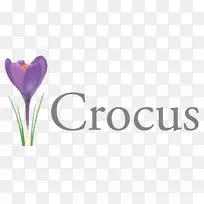 徽标番红花癌症支持中心品牌开花植物-番红花-空若网 徽标番红花癌症支持中心品牌开花植物-番红花-空若网