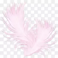 羽毛中心博客Schleier der忧心忡忡剪贴画鸟羽-空若网 羽毛中心博客Schleier der忧心忡忡剪贴画鸟羽-空若网