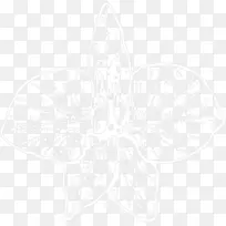 图案对称线符号叶线-空若网 图案对称线符号叶线-空若网