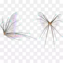 昆虫光景土坯图片昆虫-空若网 昆虫光景土坯图片昆虫-空若网