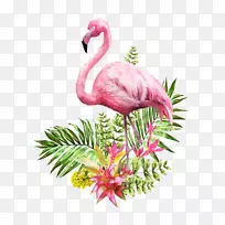 ¸¥ÀÃ÷¸êË®²Ê»Í¼Ðκ£±¨²åͼ-»ðÁÒÄñ-¿ÕÈôÍø ¸¥ÀÃ÷¸êË®²Ê»Í¼Ðκ£±¨²åͼ-»ðÁÒÄñ-¿ÕÈôÍø