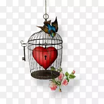 DEM leben wieder vertrauen��prinzipien der heilung von mi Brauch��seelischen verletzungen������ͼ��-����-������