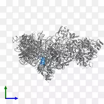 车身珠宝线字体-核糖体-空若网 车身珠宝线字体-核糖体-空若网