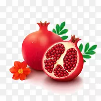 石榴图形图像绘制.石榴-空若网 石榴图形图像绘制.石榴-空若网