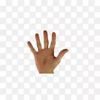 营销产品旅游大拇指电子商务营销-空若网 营销产品旅游大拇指电子商务营销-空若网