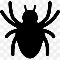 ¼ôÌù»Ö©ÖëÍøµçÄÔͼ±êÀ¥³æÖ©Öë-¿ÕÈôÍø ¼ôÌù»Ö©ÖëÍøµçÄÔͼ±êÀ¥³æÖ©Öë-¿ÕÈôÍø