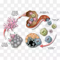 ī����-��֢��Ʒ�ķ�������-������