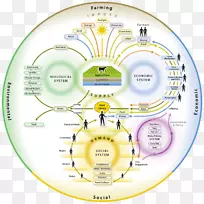 粮食系统营养有机食品农业保健方案-空若网 粮食系统营养有机食品农业保健方案-空若网