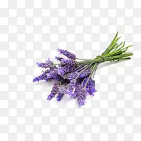 英国薰衣草精油薰衣草油-空若网 英国薰衣草精油薰衣草油-空若网